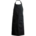 Predpasnik Kariban K885