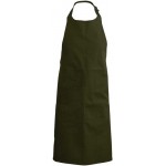 Predpasnik Kariban K885