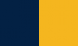 Navy/gold yellow